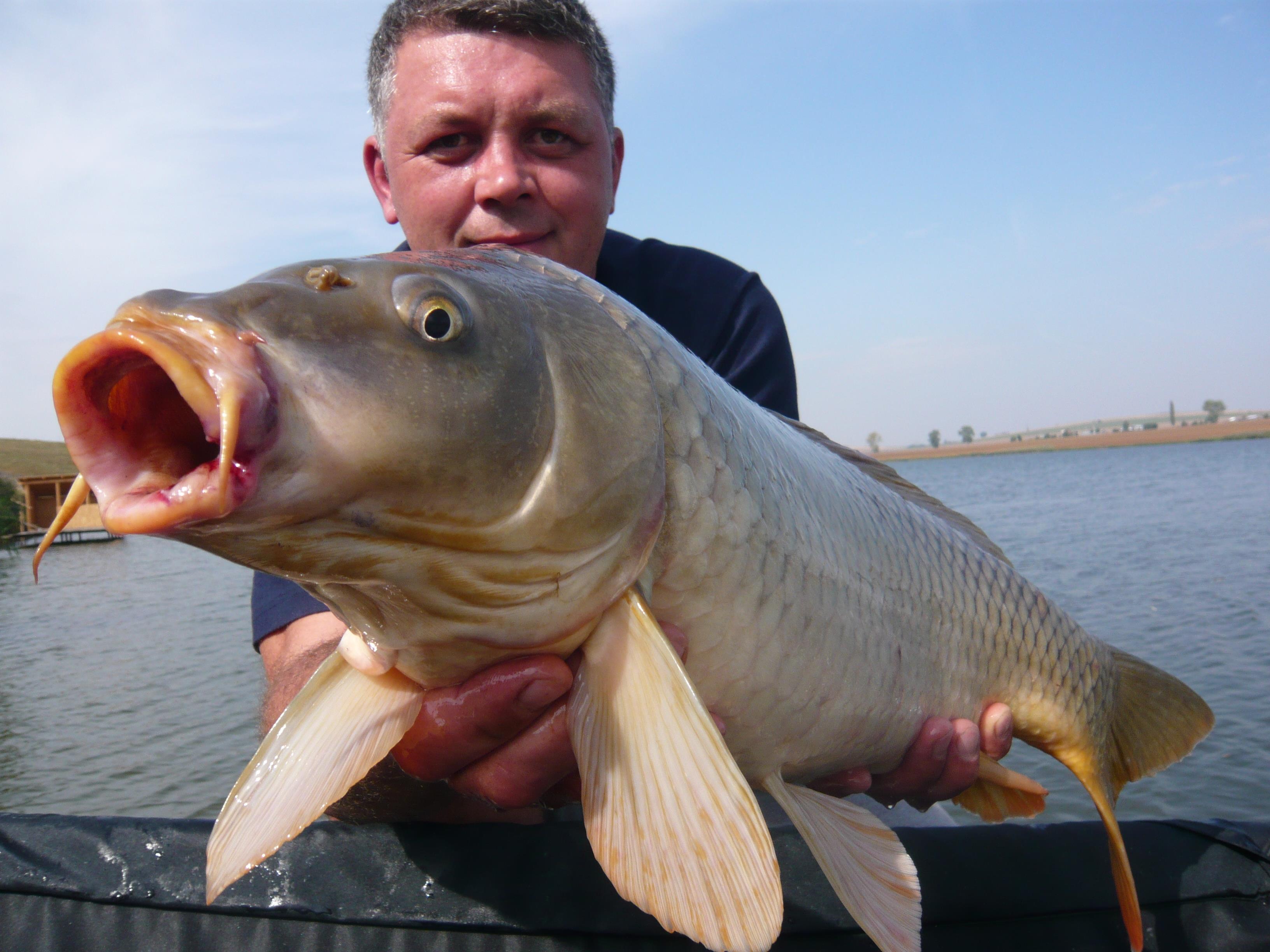 lates 2012 - P1020812.JPG